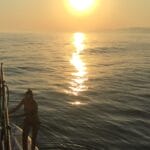 sunset cruise Algarve